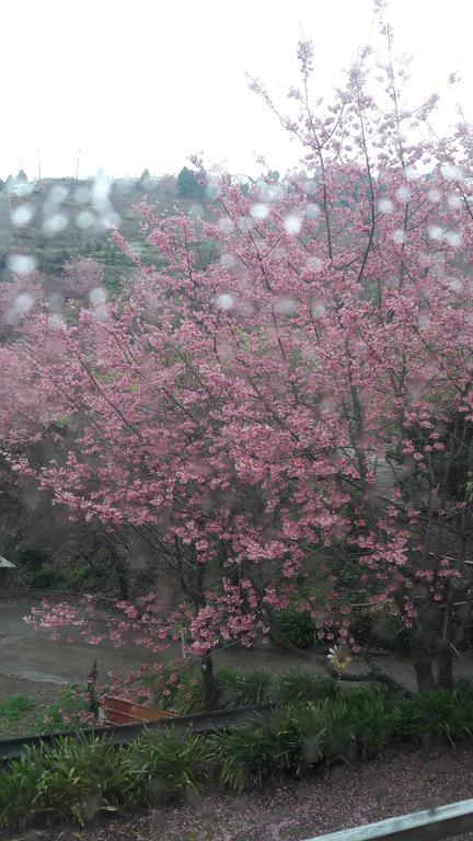 Qing Jing Xiao Taiyang Jingguan Homestay 仁愛郷 エクステリア 写真