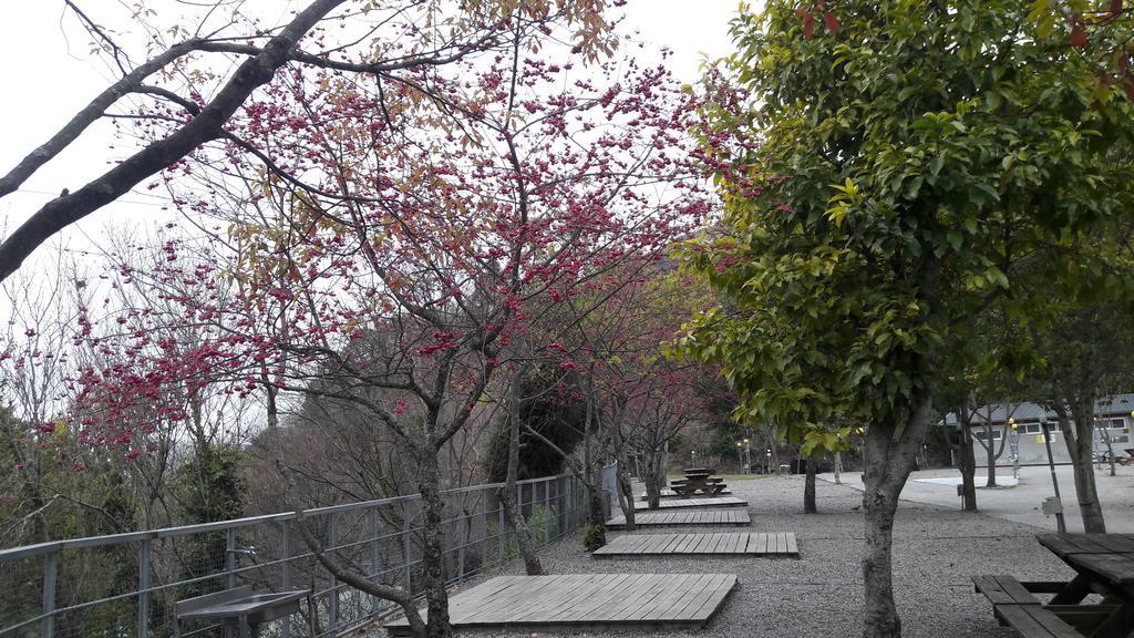 Qing Jing Xiao Taiyang Jingguan Homestay 仁愛郷 エクステリア 写真